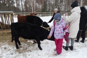 Экскурсия в парк Беремицкое